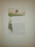 andre-theuriet-nos-oiseaux-aquarelles-de-hector-giacomelli-parigi-h-launette-et-compagnie-editeurs-1886