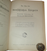 paul-ebenhoch-theodor-himmelein-der-bau-des-menschlichen-korpers-anatomische-beschreibung-des-menschen-fur-schule-und-haus-esslingen-und-munchen-jf-schreiber-1895
