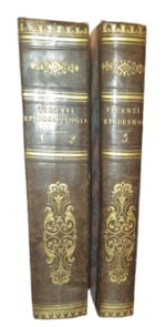 carmine-vincenti-istituzioni-di-epidesmologia-napoli-dai-torchi-di-luca-marotta-1817