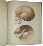 dr-hermann-welcker-untersuchungen-uber-wachsthum-und-bau-des-menschlichen-schadels-leipzig-verlag-von-wilhelm-engelmann-1862