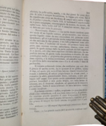 antoine-francoise-chomel-emile-adolphe-joseph-berton-della-febbre-tifoideanonche-di-una-varieta-della-pneumonite-e-della-degenerazione-tubercolosa-traduzione-con-note-di-angelo-dott-ceriali-venezia-co-tipi-di-pietro-naratovich-1850