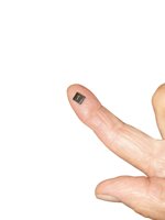 pater-noster-the-smallest-book-in-the-world-mainz-museo-gutenberg-et-bruxelles-plantin-1952