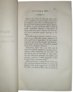 girolamo-segato-domenico-valeriani-nuova-illustrazione-istorico-monumentale-del-basso-e-dell-alto-egitto-firenze-presso-paolo-fumagalli-18351837