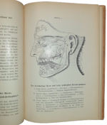 paul-joseph-rohm-leitfaden-zur-wirksamen-ausubung-des-menschen-heil-magnetismus-nebst-einem-anhang-uber-lage-und-funktion-der-wichtigsten-menschlichen-korpertheile-wiesbaden-im-selbstverlag-des-verfassers-1900