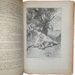 luigi-motta-l-occhio-di-fuoco-romanzo-d-avventure-milano-l-italica-1923