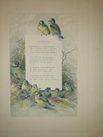 andre-theuriet-nos-oiseaux-aquarelles-de-hector-giacomelli-parigi-h-launette-et-compagnie-editeurs-1886