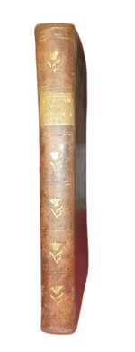 pietro-giovanni-vastapani-de-china-china-in-synochis-putribus-animadversiones-taurini-apud-guibert-et-orgeas-1779