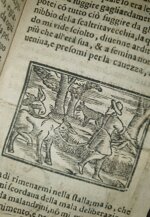 lucio-apuleio-l-asino-d-oro-di-lucio-apuleio-filosofo-platonico-tradotto-nuovamente-in-lingua-volgare-dal-molt-illustre-sig-pompeo-vizani-nobile-bolognese-aggiuntovi-le-figure-a-ciascuna-favola-in-venetia-per-domenico-louisa-a-rialto-1703