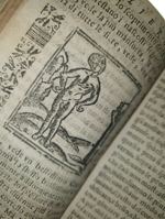 lucio-apuleio-l-asino-d-oro-di-lucio-apuleio-filosofo-platonico-tradotto-nuovamente-in-lingua-volgare-dal-molt-illustre-sig-pompeo-vizani-nobile-bolognese-aggiuntovi-le-figure-a-ciascuna-favola-in-venetia-per-domenico-louisa-a-rialto-1703