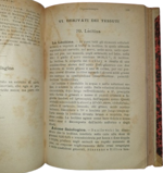 luigi-ferrannini-manuale-di-organoterapia-batterioterapia-vaccinoterapia-e-sieroterapia-citoterapia-palermo-amministrazione-della-terapia-clinica-1902