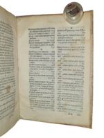 giovanni-battista-pigna-agostino-argenti-il-tempio-d-amore-nel-quale-si-contengono-le-cose-d-arme-fatte-in-ferrara-nelle-nozze-del-duca-alfonso-et-della-regina-barbara-d-austria-ferrara-francesco-rossi-1566