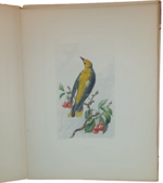 andre-theuriet-nos-oiseaux-aquarelles-de-hector-giacomelli-parigi-h-launette-et-compagnie-editeurs-1886