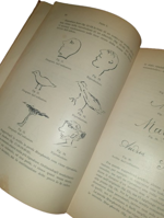 cesare-lombroso-ricerche-sui-fenomeni-ipnotici-e-spiritici-con-57-figure-intercalate-nel-testo-e-2-tavole-separate-torino-unione-tipografico-editrice-torinese-1909