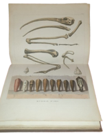 girolamo-segato-domenico-valeriani-nuova-illustrazione-istorico-monumentale-del-basso-e-dell-alto-egitto-firenze-presso-paolo-fumagalli-18351837