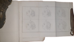 giovanni-gaspare-lavater-johann-kaspar-lavater-regole-fisonomiche-o-sia-osservazioni-su-di-alcuni-lineamenti-caratteristici-e-su-le-relazioni-della-fisonomia-della-umana-razza-con-quella-de-bruti-milano-presso-pietro-e-giuseppe-vallardi-1819