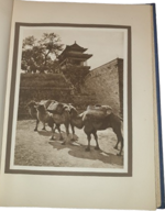 donald-mennis-the-pageant-of-peking-comprising-sixty-six-vandyke-photogravures-of-peking-and-environs-from-photographs-by-donald-mennie-shanghai-china-s-watson-co-february-1922