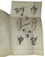 jacob-benignus-winslow-winslw-exposition-anatomique-de-la-structure-du-corps-humain-a-paris-chez-guillaume-desprez-et-jean-desessartz-1732