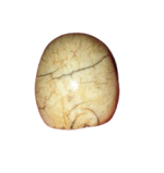 vanitas-teschio-in-avorio-marino-memento-mori-francia-o-germania-xix-secolo