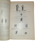 sir-james-frank-colier-dental-surgery-and-pathology-london-longmans-green-and-co-1923