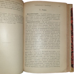 luigi-ferrannini-manuale-di-organoterapia-batterioterapia-vaccinoterapia-e-sieroterapia-citoterapia-palermo-amministrazione-della-terapia-clinica-1902