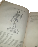 conrad-gessner-chirurgia-de-chirurgia-scriptores-optimi-quique-veteres-et-recentiores-plerique-in-germania-antehac-non-editi-nunc-primum-in-unum-coniuncti-volumen-tiguri-per-andream-gessnerum-et-iacobum-gessnerum-fratres-mense-martio-1555