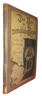 paul-ebenhoch-theodor-himmelein-der-bau-des-menschlichen-korpers-anatomische-beschreibung-des-menschen-fur-schule-und-haus-esslingen-und-munchen-jf-schreiber-1895