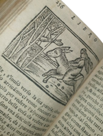 lucio-apuleio-l-asino-d-oro-di-lucio-apuleio-filosofo-platonico-tradotto-nuovamente-in-lingua-volgare-dal-molt-illustre-sig-pompeo-vizani-nobile-bolognese-aggiuntovi-le-figure-a-ciascuna-favola-in-venetia-per-domenico-louisa-a-rialto-1703