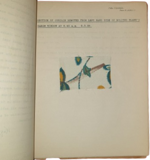 dennis-wheatley-joseph-gluckstein-links-murder-off-miami-a-new-era-in-crime-fiction-a-dennis-wheatley-murder-mystery-planned-by-jg-links-london-hutchinson-co-ca-1936