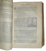 giovanni-pierio-valeriano-bolzone-di-bellune-giovanni-pietro-bolzani-dalle-fosse-ieroglifici-overo-commentari-delle-occulte-significationi-de-gli-egittij-in-venetia-appresso-gio-antonio-e-giacomo-de-franceschi-1602