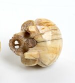 vanitas-teschio-in-avorio-marino-memento-mori-francia-xix-secolo