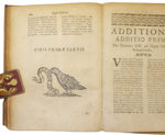 pedro-de-los-angeles-tractatus-de-ordine-iudiciali-praxi-tribunalis-religiosorum-compilatus-ex-vtroque-iure-ex-ijs-quae-docent-graues-auctores-iuristae-theologi-tam-modernes-quam-antiqui-neapoli-ex-typographia-lucae-antonij