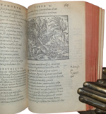 publio-ovidio-nasone-metamorphoseon-libri-xv-ac-breuissimis-in-singulas-qasque-fabulas-argumentis-illustrati-cum-indice-fabularum-copiosissimo-parisiis-apud-hieronymum-de-marnef-1576