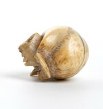 vanitas-teschio-in-avorio-marino-memento-mori-francia-xix-secolo