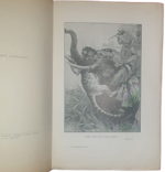 emilio-salgari-la-montagna-di-luce-avventure-illustrate-da-20-acquerelli-di-g-amato-milano-vallardi-editore-1936