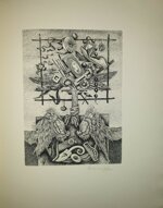 giovanni-muzzarelli-la-fabula-di-narciso-del-mozarello-da-ghazolo-mantuano-acqueforti-di-luca-crippa-mantova-edizioni-degli-amici-del-libro-d-arte-1971-1972