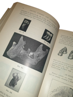 sir-james-frank-colier-dental-surgery-and-pathology-london-longmans-green-and-co-1923