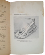 michel-bouzy-les-poissons-coquillages-crustaces-leur-preparation-culinaire-paris-michel-bouzy-1929