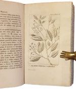 henry-ellis-viaggio-di-lord-amherst-alla-china-o-giornale-dellultima-ambasciata-inglese-alla-corte-di-pekin-milano-dalla-tipografia-di-giambattista-sonzogno-1819