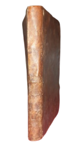 nicolas-bocangel-bocangelino-de-morbis-malignis-et-pestilentibus-causis-prefagijs-medendi-methodo-de-remedijs-insuper-preservativis-tractatus-madriti-apud-ludovicum-sanchez-1600