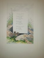 andre-theuriet-nos-oiseaux-aquarelles-de-hector-giacomelli-parigi-h-launette-et-compagnie-editeurs-1886