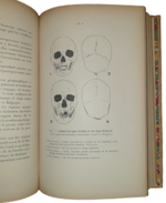 lucien-mayet-notes-sur-les-sciences-anthropologiques-et-plus-particulierement-l-anthropologie-criminelle-en-hollande-et-en-belgiques-lyon-a-storck-cie-imprimeurs-editeurs-19021903