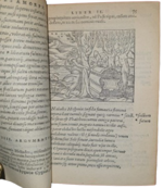 publio-ovidio-nasone-metamorphoseon-libri-xv-ac-breuissimis-in-singulas-qasque-fabulas-argumentis-illustrati-cum-indice-fabularum-copiosissimo-parisiis-apud-hieronymum-de-marnef-1576