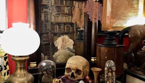 conchiglia-removebg-preview