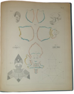 dr-hermann-welcker-untersuchungen-uber-wachsthum-und-bau-des-menschlichen-schadels-leipzig-verlag-von-wilhelm-engelmann-1862