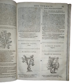 castore-durante-herbario-novo-con-figure-che-rappresentano-le-vive-piante-che-nascono-in-tutta-europa-nell-indie-orientali-occidentali-in-venetia-appresso-li-sessa-1617