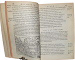 publio-ovidio-nasone-metamorphoseon-libri-xv-ac-breuissimis-in-singulas-qasque-fabulas-argumentis-illustrati-cum-indice-fabularum-copiosissimo-parisiis-apud-hieronymum-de-marnef-1576