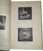 sir-james-frank-colier-dental-surgery-and-pathology-london-longmans-green-and-co-1923