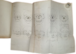pierre-petrus-camper-dissertation-physique-de-mr-pierre-camper-sur-les-differences-reelles-que-presentent-les-traits-du-visage-chez-ls-hommes-de-differentes-pays-et-differents-ages-a-utrecht-chez-b-wild-j-altheer-1791