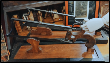 teschio-removebg-preview