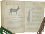 jules-breteuil-le-cuisinier-europeen-ouvrage-contenant-les-meilleures-recettes-des-cuisines-francaises-et-etrangeres-pour-la-preparation-des-potages-sauces-ragouts-entrees-rotis-fritures-entremets-paris-garnier-freres-1880-ca